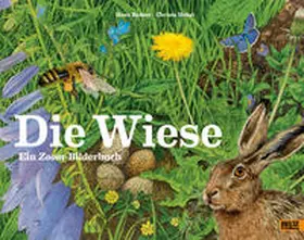 Baltzer / Holtei |  Die Wiese | Buch |  Sack Fachmedien