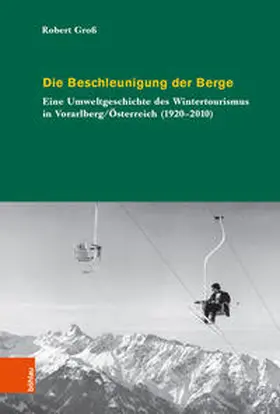 Groß |  Die Beschleunigung der Berge | Buch |  Sack Fachmedien