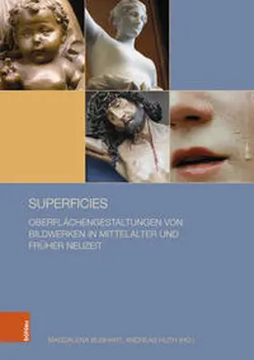 Bushart / Huth |  superficies | Buch |  Sack Fachmedien