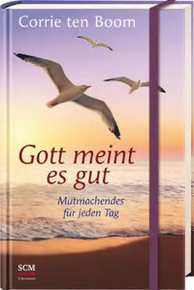 Boom | Gott meint es gut | Buch | 978-3-417-26540-8 | www2.sack.de