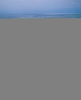 Walker | Die Geschichte des Heiligen Landes | Buch | 978-3-417-26599-6 | www2.sack.de