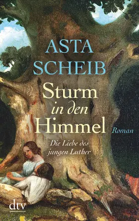 Scheib |  Sturm in den Himmel | Buch |  Sack Fachmedien