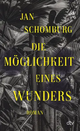 Schomburg |  Die Möglichkeit eines Wunders | Buch |  Sack Fachmedien
