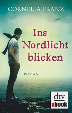 Franz |  Ins Nordlicht blicken | eBook | Sack Fachmedien