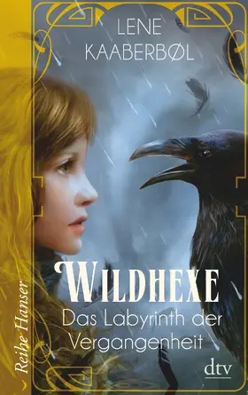 Kaaberbøl |  Wildhexe 05 - Das Labyrinth der Vergangenheit | Buch |  Sack Fachmedien