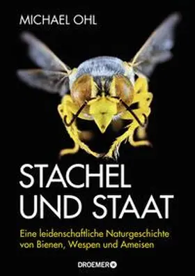 Ohl |  Stachel und Staat | Buch |  Sack Fachmedien