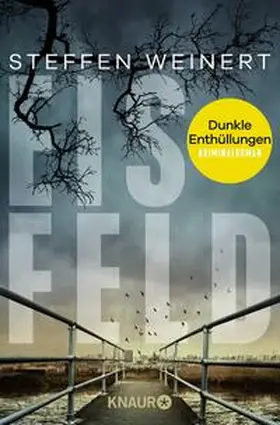 Weinert |  Eisfeld - Dunkle Enthüllungen | Buch |  Sack Fachmedien