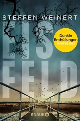 Weinert |  Eisfeld – Dunkle Enthüllungen | eBook | Sack Fachmedien