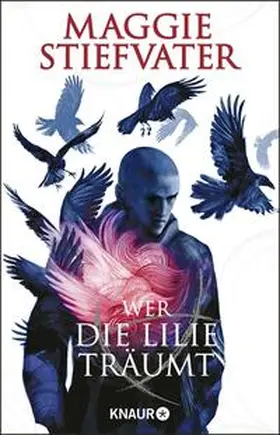 Stiefvater |  Wer die Lilie träumt | Buch |  Sack Fachmedien