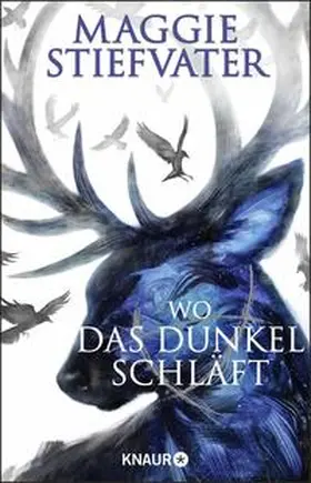 Stiefvater |  Wo das Dunkel schläft | Buch |  Sack Fachmedien