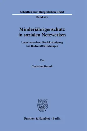 Brandt |  Minderjährigenschutz in sozialen Netzwerken | Buch |  Sack Fachmedien