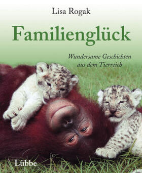 Rogak |  Familienglück | Buch |  Sack Fachmedien