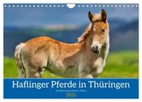 CALVENDO / Irmer |  Haflinger Pferde in Thüringen (Wandkalender 2025 DIN A4 quer), CALVENDO Monatskalender | Sonstiges |  Sack Fachmedien