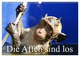 CALVENDO / Müller |  Die Affen sind los (Wandkalender 2025 DIN A3 quer), CALVENDO Monatskalender | Sonstiges |  Sack Fachmedien