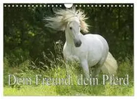 CALVENDO / Müller |  Dein Freund, dein Pferd (Wandkalender 2025 DIN A4 quer), CALVENDO Monatskalender | Sonstiges |  Sack Fachmedien