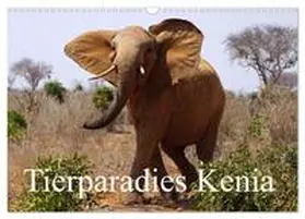 CALVENDO / Müller |  Tierparadies Kenia (Wandkalender 2025 DIN A3 quer), CALVENDO Monatskalender | Sonstiges |  Sack Fachmedien