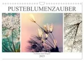 CALVENDO / Delgado |  PusteblumenZauber (Wandkalender 2025 DIN A4 quer), CALVENDO Monatskalender | Sonstiges |  Sack Fachmedien