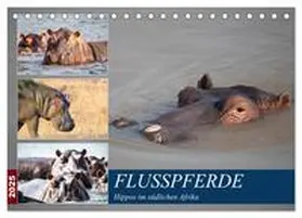 CALVENDO / Quentin |  Hippos im südlichen Afrika (Tischkalender 2025 DIN A5 quer), CALVENDO Monatskalender | Sonstiges |  Sack Fachmedien