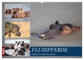 CALVENDO / Quentin |  Hippos im südlichen Afrika (Wandkalender 2025 DIN A2 quer), CALVENDO Monatskalender | Sonstiges |  Sack Fachmedien
