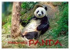 CALVENDO / Roder | Niedlicher Panda (Wandkalender 2025 DIN A2 quer), CALVENDO Monatskalender | Sonstiges | 978-3-435-37114-3 | sack.de