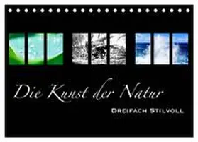 Busse / CALVENDO |  Die Kunst der Natur - Dreifach Stilvoll (Tischkalender 2025 DIN A5 quer), CALVENDO Monatskalender | Sonstiges |  Sack Fachmedien