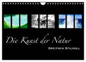 Busse / CALVENDO |  Die Kunst der Natur - Dreifach Stilvoll (Wandkalender 2025 DIN A4 quer), CALVENDO Monatskalender | Sonstiges |  Sack Fachmedien