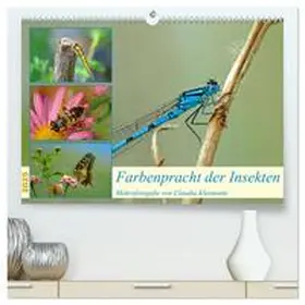 CALVENDO / Kleemann |  Farbenpracht der Insekten (hochwertiger Premium Wandkalender 2025 DIN A2 quer), Kunstdruck in Hochglanz | Sonstiges |  Sack Fachmedien