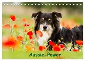 CALVENDO / Mayer |  Aussie-Power (Tischkalender 2025 DIN A5 quer), CALVENDO Monatskalender | Sonstiges |  Sack Fachmedien