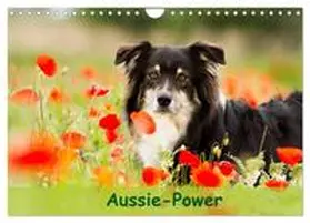 CALVENDO / Mayer |  Aussie-Power (Wandkalender 2025 DIN A4 quer), CALVENDO Monatskalender | Sonstiges |  Sack Fachmedien