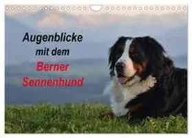 Hunscheidt / CALVENDO |  Augenblicke mit dem Berner Sennenhund (Wandkalender 2025 DIN A4 quer), CALVENDO Monatskalender | Sonstiges |  Sack Fachmedien