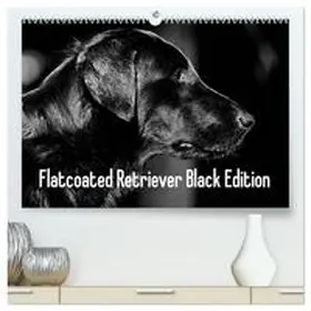 CALVENDO / Müller |  Flatcoated Retriever Black Edition (hochwertiger Premium Wandkalender 2025 DIN A2 quer), Kunstdruck in Hochglanz | Sonstiges |  Sack Fachmedien