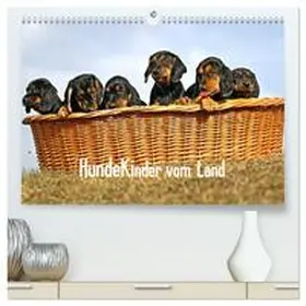CALVENDO / Müller |  Hundekinder vom Land (hochwertiger Premium Wandkalender 2025 DIN A2 quer), Kunstdruck in Hochglanz | Sonstiges |  Sack Fachmedien