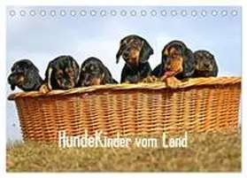 CALVENDO / Müller |  Hundekinder vom Land (Tischkalender 2025 DIN A5 quer), CALVENDO Monatskalender | Sonstiges |  Sack Fachmedien