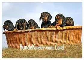 CALVENDO / Müller |  Hundekinder vom Land (Wandkalender 2025 DIN A2 quer), CALVENDO Monatskalender | Sonstiges |  Sack Fachmedien