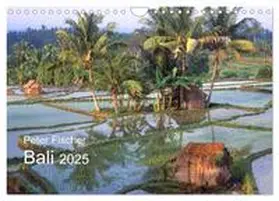 Fischer / CALVENDO |  Peter Fischer - Bali 2025 (Wandkalender 2025 DIN A4 quer), CALVENDO Monatskalender | Sonstiges |  Sack Fachmedien