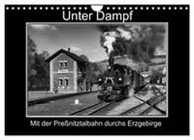 CALVENDO / Maurer | Unter Dampf - Mit der Preßnitztalbahn durchs Erzgebirge (Wandkalender 2025 DIN A4 quer), CALVENDO Monatskalender | Sonstiges | 978-3-435-63392-0 | sack.de