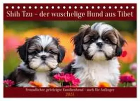 CALVENDO / Kleemann |  Shih Tzu - der wuschelige Hund aus Tibet (Tischkalender 2025 DIN A5 quer), CALVENDO Monatskalender | Sonstiges |  Sack Fachmedien