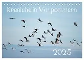 CALVENDO / Reinhold |  Kraniche in Vorpommern (Tischkalender 2025 DIN A5 quer), CALVENDO Monatskalender | Sonstiges |  Sack Fachmedien