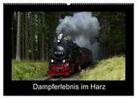 CALVENDO / Maurer | Dampferlebnis im Harz (Wandkalender 2025 DIN A2 quer), CALVENDO Monatskalender | Sonstiges | 978-3-435-67365-0 | sack.de