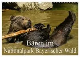 CALVENDO / Müller |  Bären im Nationalpark Bayerischer Wald (Wandkalender 2025 DIN A3 quer), CALVENDO Monatskalender | Sonstiges |  Sack Fachmedien