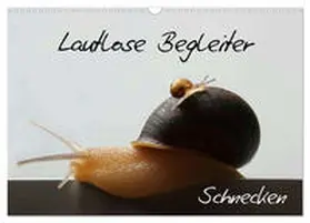 CALVENDO / Geiling |  Lautlose Begleiter - Schnecken (Wandkalender 2025 DIN A3 quer), CALVENDO Monatskalender | Sonstiges |  Sack Fachmedien
