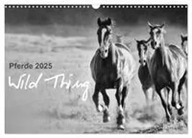 CALVENDO / Peters |  Pferde 2025 Wild Thing (Wandkalender 2025 DIN A3 quer), CALVENDO Monatskalender | Sonstiges |  Sack Fachmedien