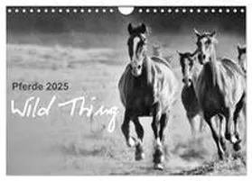CALVENDO / Peters |  Pferde 2025 Wild Thing (Wandkalender 2025 DIN A4 quer), CALVENDO Monatskalender | Sonstiges |  Sack Fachmedien