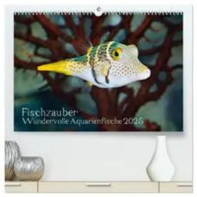CALVENDO / Plett |  Fischzauber - Wundervolle Aquarienfische (hochwertiger Premium Wandkalender 2025 DIN A2 quer), Kunstdruck in Hochglanz | Sonstiges |  Sack Fachmedien