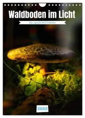 CALVENDO / Irmer |  Waldboden im Licht (Wandkalender 2025 DIN A4 hoch), CALVENDO Monatskalender | Sonstiges |  Sack Fachmedien