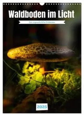 CALVENDO / Irmer |  Waldboden im Licht (Wandkalender 2025 DIN A3 hoch), CALVENDO Monatskalender | Sonstiges |  Sack Fachmedien