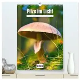 CALVENDO / Irmer |  Pilze im Licht (hochwertiger Premium Wandkalender 2025 DIN A2 hoch), Kunstdruck in Hochglanz | Sonstiges |  Sack Fachmedien