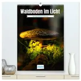 CALVENDO / Irmer |  Waldboden im Licht (hochwertiger Premium Wandkalender 2025 DIN A2 hoch), Kunstdruck in Hochglanz | Sonstiges |  Sack Fachmedien