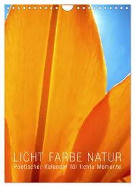 CALVENDO / Layout Babette Reek |  Licht Farbe Natur (Wandkalender 2025 DIN A4 hoch), CALVENDO Monatskalender | Sonstiges |  Sack Fachmedien