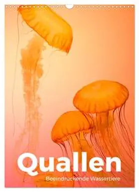Scott / CALVENDO |  Quallen - Beeindruckende Wassertiere (Wandkalender 2025 DIN A3 hoch), CALVENDO Monatskalender | Sonstiges |  Sack Fachmedien
